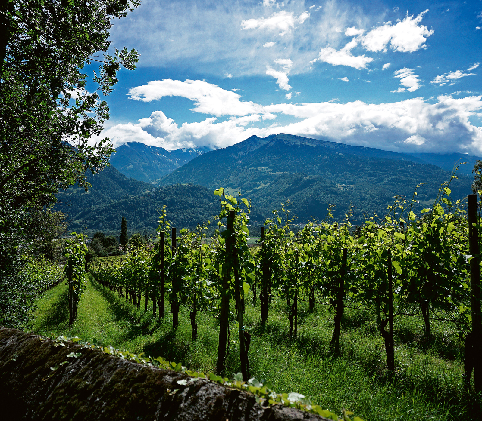 Graubünden: Das gelobte Land für Weinliebhaber und Gourmets