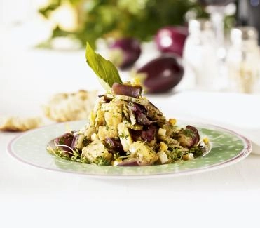 2011-09-auberginensalat-mit-stangensellerie-und-ei