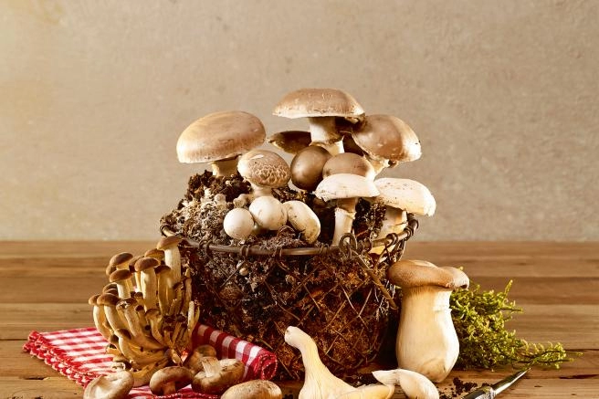 zutat-pilz