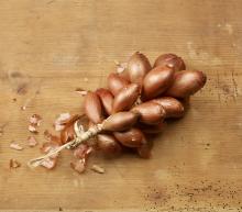 ingredient media