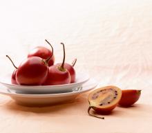ingredient media