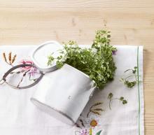 ingredient media