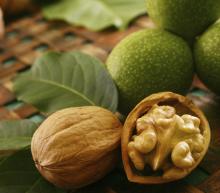 ingredient media