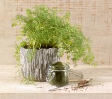 ingredient media