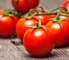 ingredient media