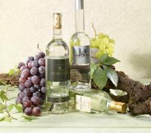 ingredient media