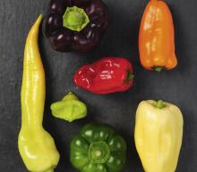 ingredient media