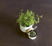 ingredient media