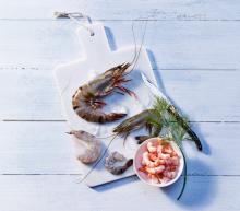 ingredient media