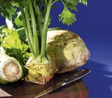 ingredient media