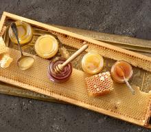 ingredient media