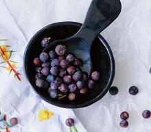 ingredient media