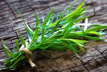 ingredient media