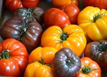 ingredient media