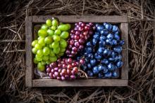 ingredient media