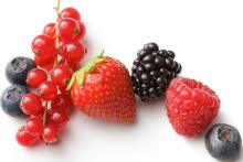 ingredient media
