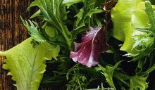 ingredient media